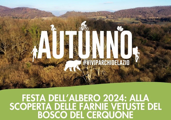 Le Farnie vetuste del bosco del Cerquone