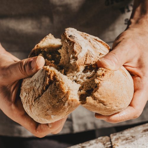 Baker or cooking chef holding fresh baked bread and breaking it in hands. Concept of cooking, successful businessman or start up. Closeup. Horizontal.