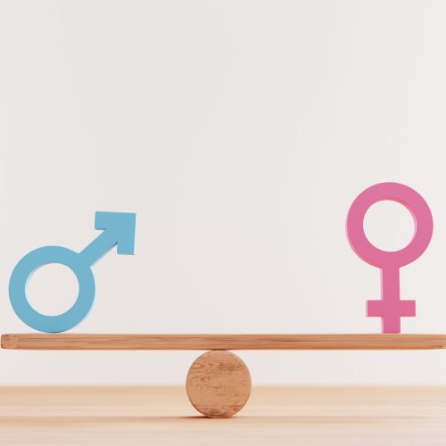 Blue man sign and pink woman sign on balance wooden seesaws for equal business human right and gender concept by 3d rendering.