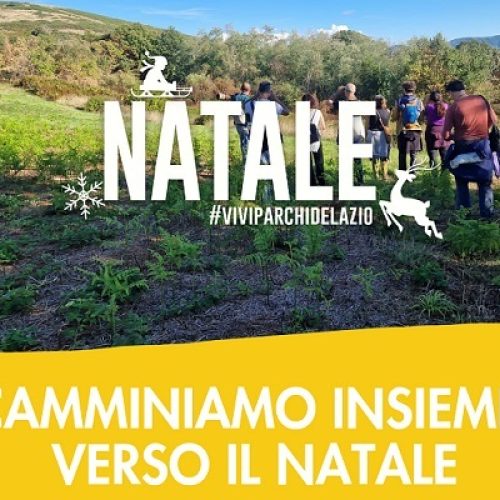 Ultima escursione dell’anno al Parco dei Castelli Romani: un’occasione imperdibile